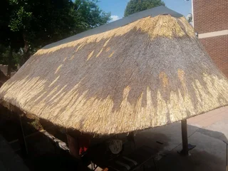 Isaac thatching