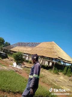 Isaac thatching