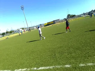 Am looking for garden job