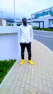 Gardener and painter available