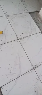 Tilling - Ad posted by Alex Kasina