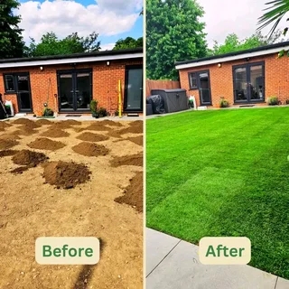 CHEAPEST INSTANT LAWN FRESH GRASS FROM THE FARM 