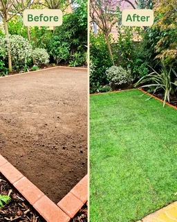 CHEAPEST INSTANT LAWN FRESH GRASS FROM THE FARM 