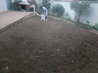 CHEAPEST INSTANT LAWN FRESH GRASS FROM THE FARM 