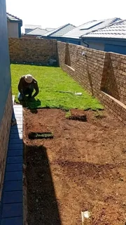 CHEAPEST INSTANT LAWN FRESH GRASS FROM THE FARM 