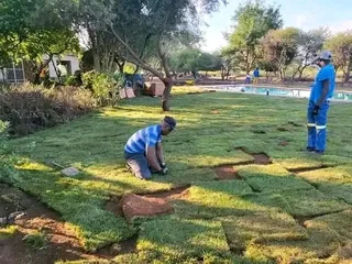 CHEAPEST INSTANT LAWN FRESH GRASS FROM THE FARM 