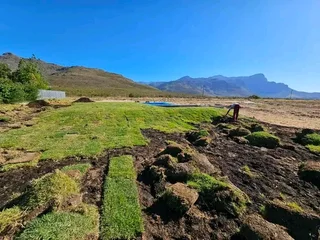 Cheapest Instant Lawn Dressing Installations