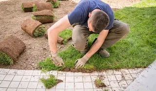 CHEAPEST INSTANT LAWN DRESSING INSTALLATIONS