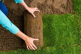 CHEAPEST INSTANT LAWN DRESSING INSTALLATIONS