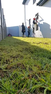 CHEAPEST INSTANT LAWN DRESSING INSTALLATIONS