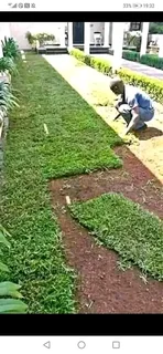 WE SPECIALIST ON INSTANT ROLL ON LAWN INSTALLATIONS NO DEPOSITS PAY AFTER JOB DONE I BRING ALL MTRLS