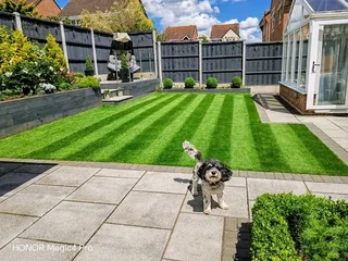 WE INSTALL ALL TYPES OF ROLL ON GRASS INSTALLATIONS/NO DEPOSITS UPFRONT YOU PAY WHEN THE JOB IS DONE