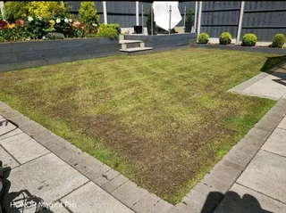 WE INSTALL ALL TYPES OF ROLL ON GRASS INSTALLATIONS/NO DEPOSITS UPFRONT YOU PAY WHEN THE JOB IS DONE