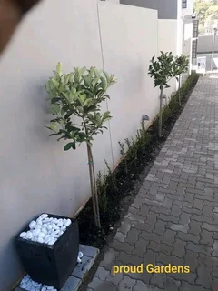 CHEAPEST PAVING INSTALLATIONS INCLUDING LABOUR AND MATERIALS