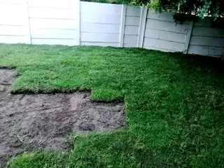 NO UPFRONT DEPOSITS YOU PAY WHEN JOB IS DONE CHEAPEST ROLL ON LAWN GRASS INSTALLATIONS