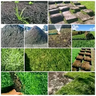 NO UPFRONT DEPOSITS YOU PAY WHEN JOB IS DONE CHEAPEST ROLL ON LAWN GRASS INSTALLATIONS