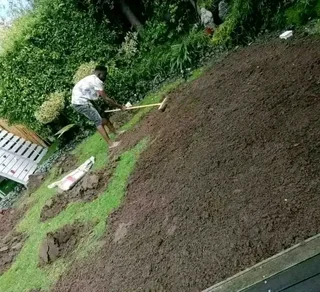 NO UPFRONT DEPOSITS YOU PAY WHEN JOB IS DONE CHEAPEST ROLL ON LAWN GRASS INSTALLATIONS