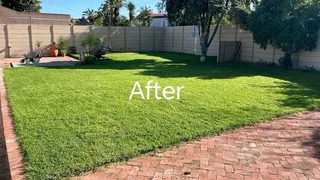 NO UPFRONT DEPOSITS YOU PAY WHEN JOB IS DONE CHEAPEST ROLL ON LAWN GRASS INSTALLATIONS