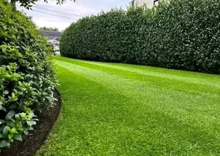 NO UPFRONT DEPOSITS YOU PAY WHEN JOB IS DONE CHEAPEST ROLL ON LAWN GRASS INSTALLATIONS