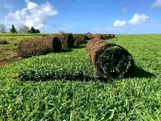 We Do The Job Fit And Supply Without Asking Deposits Upfront  Roll On Grass Installations