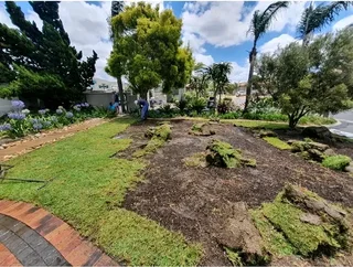 WE DO THE JOB FIT AND SUPPLY WITHOUT ASKING DEPOSITS UPFRONT  ROLL ON GRASS INSTALLATIONS