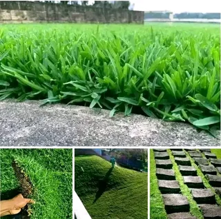 NO DEPOSITS UPFRONT YOU PAY DEPOSITS WHEN MATERIALS ARRIVE ON SITE CHEAPEST KIKUYU GRASS INSTALLATIO