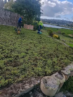 NO DEPOSITS UPFRONT YOU PAY DEPOSITS WHEN MATERIALS ARRIVE ON SITE CHEAPEST KIKUYU GRASS INSTALLATIO