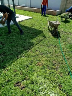 NO DEPOSITS UPFRONT YOU PAY DEPOSITS WHEN MATERIALS ARRIVE ON SITE CHEAPEST KIKUYU GRASS INSTALLATIO