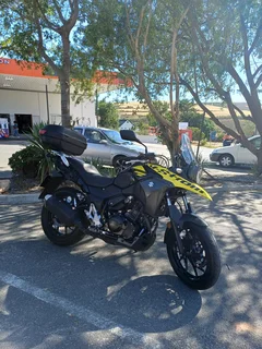 *SUPER RARE*  2019 Suzuki DL250X V-Strom