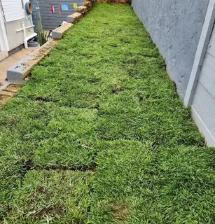 Tarring - Ad posted by Takudzwa Matura