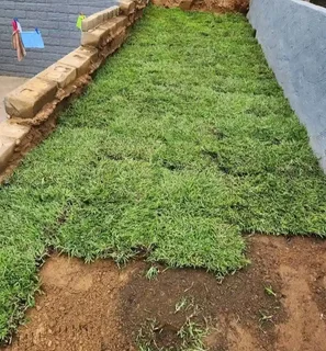 Tarring - Ad posted by Takudzwa Matura