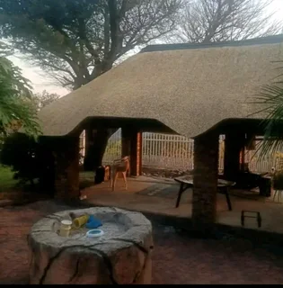 Thatch houses  and all repairs