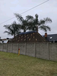 Thatch roof and all repairs
