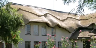 Thatch roof and all repairs