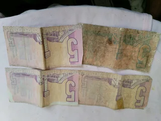 Old South Africa notes