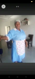 Experience Domestic Worker Available