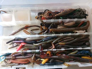 Camping and Fishing Things