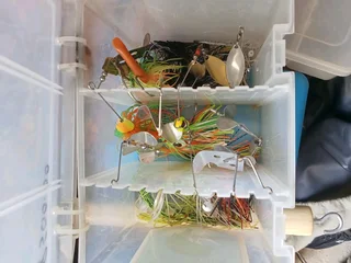 Camping and Fishing Things