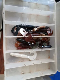 Camping and Fishing Things