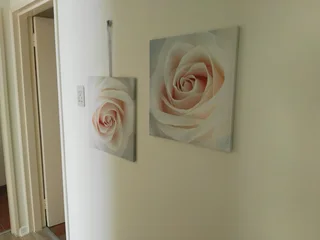 Apa - Ad posted by Vanilla