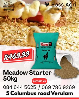 Poultry feed