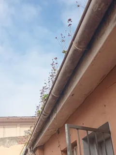 Gutter cleaning service