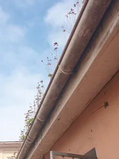 Gutter cleaning service