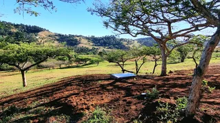 Self-Catering Accommodation Peacevale