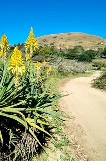 Self-Catering Accommodation Peacevale