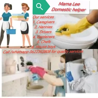 Domestic helpers