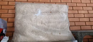 Woodwool - Ad posted by Zylend Isaacs