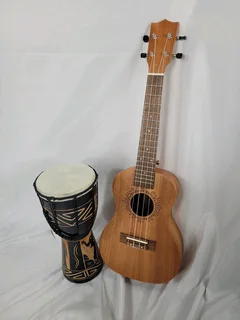 Ukulele guitar and djembe drum.