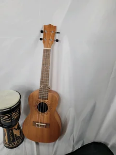 Ukulele guitar and djembe drum.