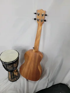 Ukulele guitar and djembe drum.